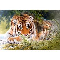 Tigro deimantinis siuvinėjimas 5D deimantinis piešimas apvaliu kryželiu 3D deimantų mozaikos rankdarbiai 20X30 black