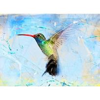 5D „pasidaryk pats“ deimantinis paveikslas „Spalvotas kolibris“ 3D Kalnų krištolinis siuvinėjimas kryželiu 20X30CM