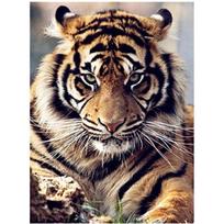 Pilnas 5D „pasidaryk pats“ deimantinis paveikslas „Majestic Tiger“ deimantinis siuvinėjimas kryžminio dygsnio rinkiniai namų dekoravimui, rankų darbo dovana 20x30cm black