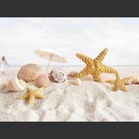 5D DIY Diamond Painting Sunny Seaside Scenery Diamond Embroidery Cross Stitch Kit Full Rhinestone Mosaic Home Decor Round 20x30cm