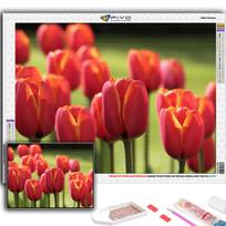 Diamond Painting Flowers Tulips Embroidery Cross Stitch Rhinestone Home Decor Full Round 20X30CM red