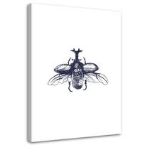 Drobės spaudinys, Skraidantis vabalas 40x60 juoda/balta