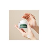 LEADERS Green Collagen Hydrate Boosting Cream 50ml