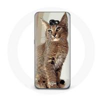 Coque pour Samsung Galaxy A5 2017 Siamois Race de chats