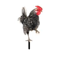 Realistiškos vištienos statulos, akriliniai gaidžių gyvulių kuolai, gyvūnų skulptūrų dekoras, vištienos ornamentai kiemo meno dekoras kiemo terasai One Size