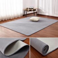 Cloakroom Simple Living Room Large Area Carpet Bedroom Girl Dirt-resistant Tatami Short Hair Super Soft Soundproof Bedside Blanket 60*100cm