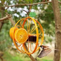 Hanging Bird Feeder, Detached Bowl Design, Metal Drinking Grape Jelly Container orange