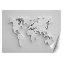 Wallpaper World Map Continents 3d 100x70 pilka spalva
