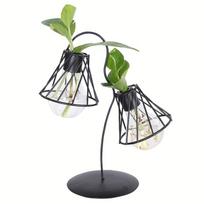 1pc Modern Creative Transparent Dry Flower Vase, Hydroponic Greenery Plant Container, Simulated Greenery Flower Arrangement, Desktop Home Decorations Pack of 1 black