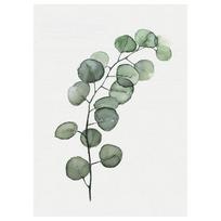 Dekoratyvinis žalias augalas drobės meno tapyba sienos plakatas paveikslas miegamajam 30*40cm gray