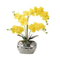 Elegantiškas dirbtinis baltos spalvos orchidėjų augalas – tikroviška išvaizda, ilgai išliekanti gėlė