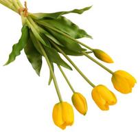 Beautiful Artificial Tulips PE Hands Feeling Eye-catching Shooting Props AVE geltona