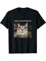 Rage Is Consuming Me Silly Staring Cat Meme TShirt S