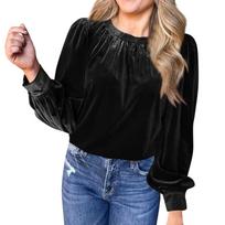 Women's Loose Gold Velvet Solid Color Pullover Round Neck Long Sleeve Top Casual Shirt L juoda