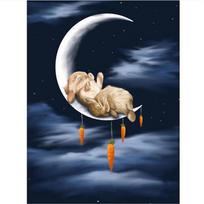 Full 5D Diy Diamond Painting Sleeping rabbit Embroidery Cross Stitch Home Decor Handmade Gift 25x30cm