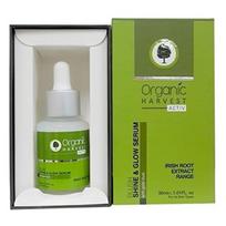 Organic Harvest Airiškų šaknų ekstrakto linija Activ Shine and Glow serumas, 30 ml