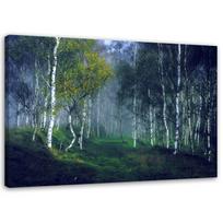Feeby drobės spaudinys, Beržai rūke 60x40 mėlyna