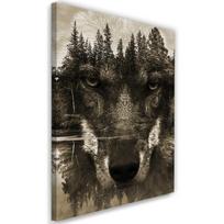 Canvas print Wolf Forest Black Animals 40x60 ruda