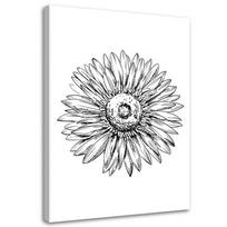 Canvas print Flower Sketch Black and White 40x60 balta/juoda
