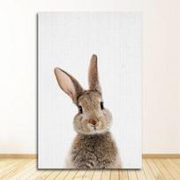 Meno dekoravimo sienų nuotraukos gyvenamajam kambariui darželio zuikis Spaudiniai Triušiai Mieli gyvūnai Drobės tapyba Unisex sienų menas 21cm×30cm NoFrame beige