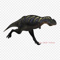 Aucasaurus Tyrannosaurus Iron on Heat Transfer Printing Vinyl Patches Sticker for Clothes DIY Appliques Washable Patches
