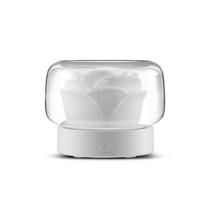 400ml Namų Elektrinis Eterinių Aliejų Difuzorius Ultragarsinis Rūkas Oro Drėkintuvas Aromaterapijos Rūkyklė Su Spalvota Lempa Aromato Difuzorius US white