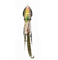 Sale Lumica Puni Raba 40 grams 52 mm Sinking Lure Aoriika (1821)