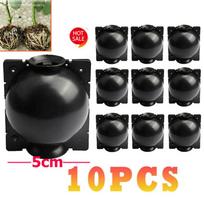 Propagation Breeding box Botany Reusable Yard Plant Bulbs High pressure Ball gray