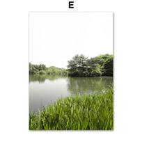 Tulip Flower Canvas Wall Art Pictures Nordic Floral Posters On The Wall Frameless Landscape Paintings for Interior No Frame 21*30cm No Frame gray