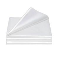 Augalų užvalkalai Apsauga nuo užšalimo Medžiaginiai užvalkalai lauko augalams Žiemos antklodės Apsaugos augalams 243.83x761.9cm white