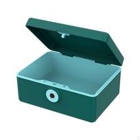 Collection Box with Fingerprint Lock for Jewelry and Accessories Single Layer žalia