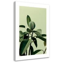 Canvas print, Green nature plant 40x60 žalia