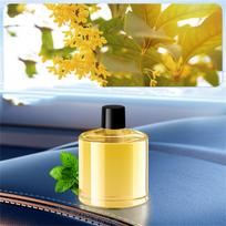 50ml Išmanus Automobilio Kvapas Aromaterapija Automobilio Produktai Pažangus Automatinio Aparato Pojūtis One Size oranžinė