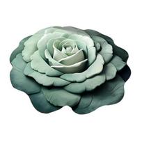 Gėlių pliušinis grindų kilimėlis neslystantis sugeriantis grindų kilimas 3D realistiškų gėlių rašto kilimas virtuvei voniai svetainei 60cm B gray