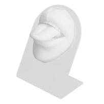 Silikoninis liežuvio ir burnos modelis su stovu, imituojantis 3D liežuvio auskarų vėrimą, kūno praktikos modelis balta