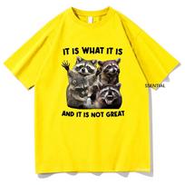 It Is What It Is and It Is Not Great Vintage Raccoon Tshirt  Men/Women Clothing Harajuku T-shirt Unisex Cotton Graphic T Shirts XXXXL