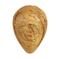 Fake Hornet Nest Decoy Hanging Wasp Nest Repellent with Sturdy Loop Outdoor Waterproof Bee Deterrent for Porch Patio Garden Decor And Insect