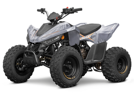LINHAI ATV 110 vaikiškas keturratis