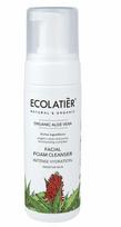 Valomosios veido putos Ecolatier Organic Aloe Vera Intense Hydration, 150 ml