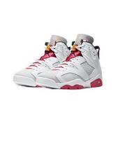 Air Jordan 6 Retro Hare 2020 Jordan 6 AJ6 CT8529-062 EU 43 pilka spalva