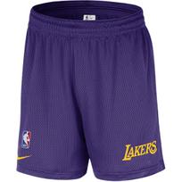 Nike Los Angeles Lakers DNA tinklelio krepšinio šortai Laukų violetiniai FQ3394-504 M blue
