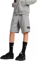 Puma Šortai Paaugliams Ess No. 1 Logo Shorts Pilkas 684918 03