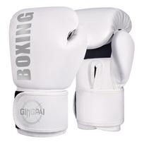 Boxing & Muay Thai Training Gloves for Kids & Adults - Sanda, Men & Girls Combat Sandbag Gloves 6 oz