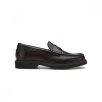 Vigevano Roy Men S Penny Loafer Brown m9S10444S31tm 250