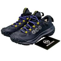 Nike ACG Mountain Fly 2 GORE-TEX Low Midnight Navy - HF6245-400 Vyriški batai EU 42.5 mėlyna