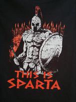 This Is Sparta  Sparta 300 Warrior Leonidas T Shirt 100 Cotton Short Sleeve ONeck Casual Tshirts Loose Top New Size S3XL S white