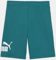 Puma Šortai Paaugliams Ess No. 1 Logo Shorts Žalias 684918 41