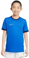 Nike Dri-Fit Academy 25 moksleivių trumpas rankoves marškinėliai FZ9758 463