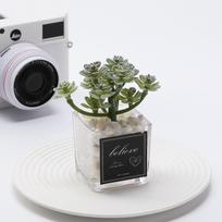 1 PC Simulation Mini Glass Flocked Succulent Potted Planter, Home Living Room Desk Office Ornament, Holiday Gift gray