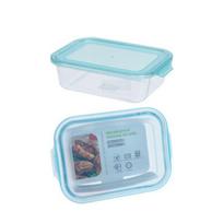 Stiklinė maisto dėžutė TERMOLEX, 1040 ml, 22x15x6 cm